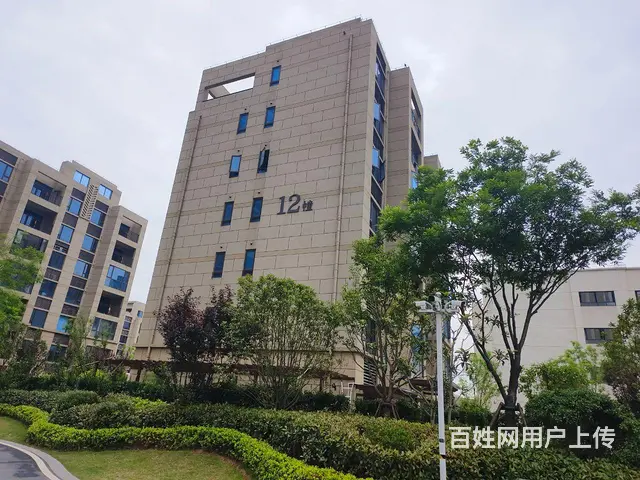 羊山新区碧桂园黄金时代洋房出租 - 图片 3