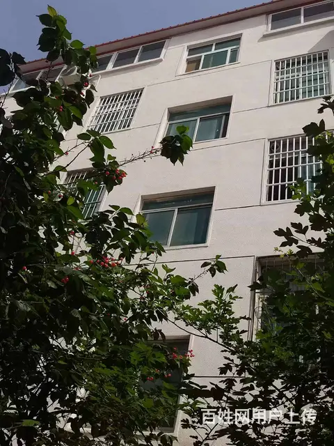 和平居委会桐刘东路四巷 2室1厅一厨一卫 精装修水电齐全 - 图片 2