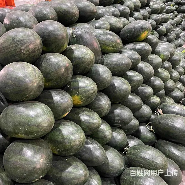 成都水果供应酒店 食堂 学校水果批发市场批发水果上 - 图片 3