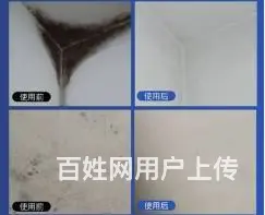 番禺石基除霉公司，广州专业墙体去霉，处理天花发霉 - 图片 3