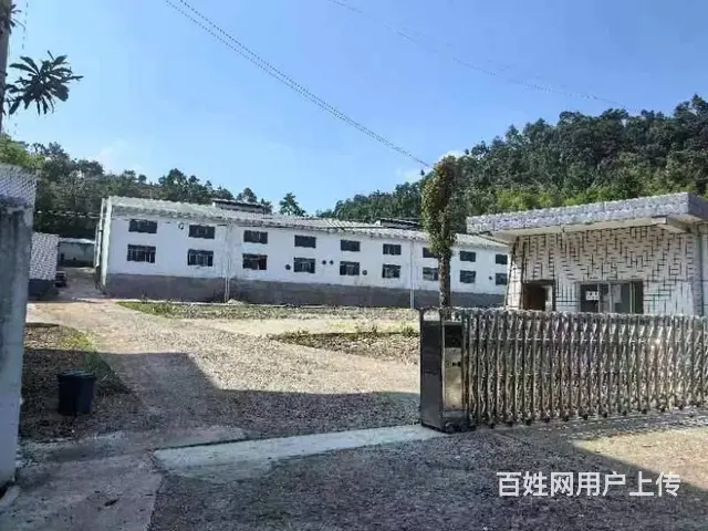 （老板本人）宁乡金洲区正规厂房办公楼出租  6330 - 图片 10