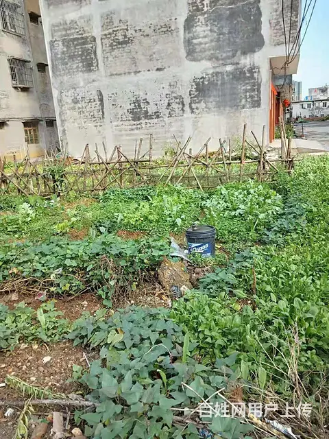 富贵新城塘岸路口国有土地岀售 - 图片