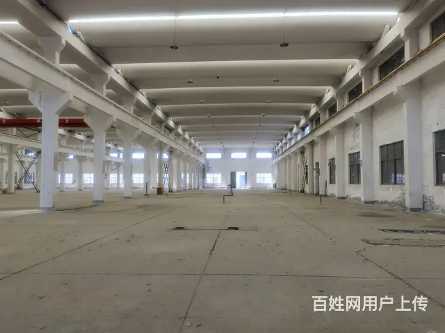 （房东直租）独门独院，单层厂房 - 图片 3