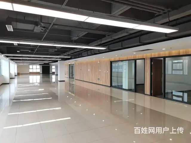 地铁口100米 沈阳国际软件园甲方直租 沈阳浑南写字间 - 图片 2
