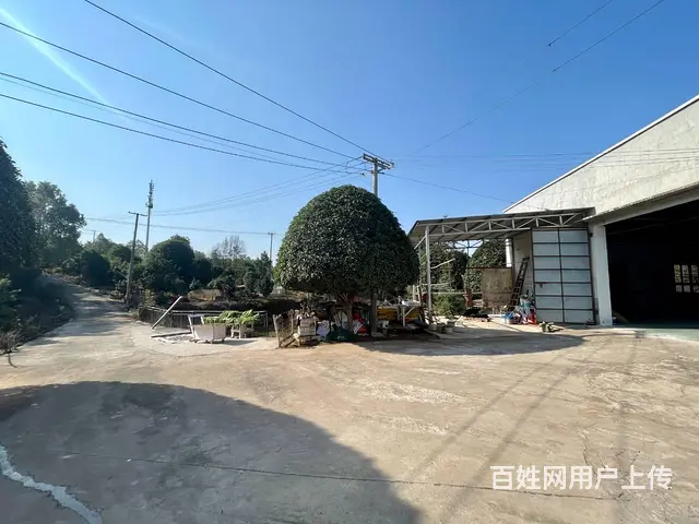 （老板本人）长沙县黄兴镇自建厂房仓库出租  5788 - 图片 4