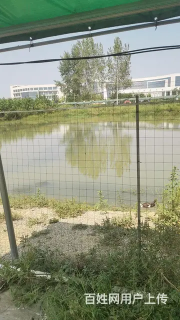 大学南门农家乐转让 - 图片 1