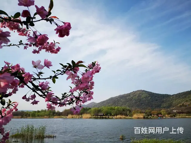 冬季到湖畔来看鱼… - 图片 5