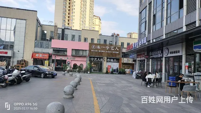 高新区万达公寓50平米宠物店转让 - 图片 5