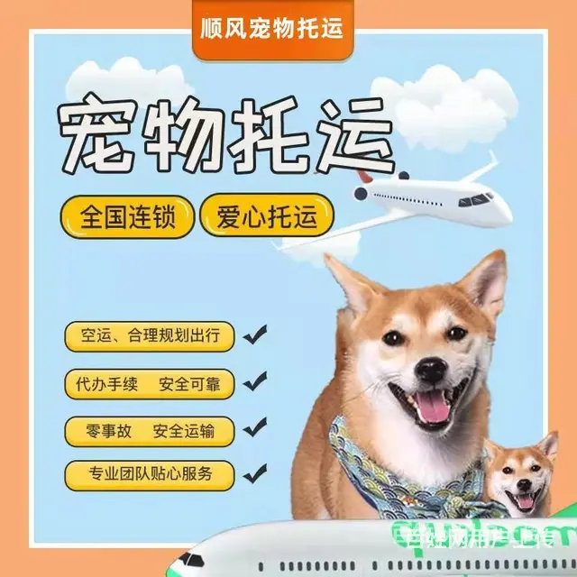 2022龙口市宠物托运（猫狗）邮寄快递（宠物活体运输新*闻） - 图片 4