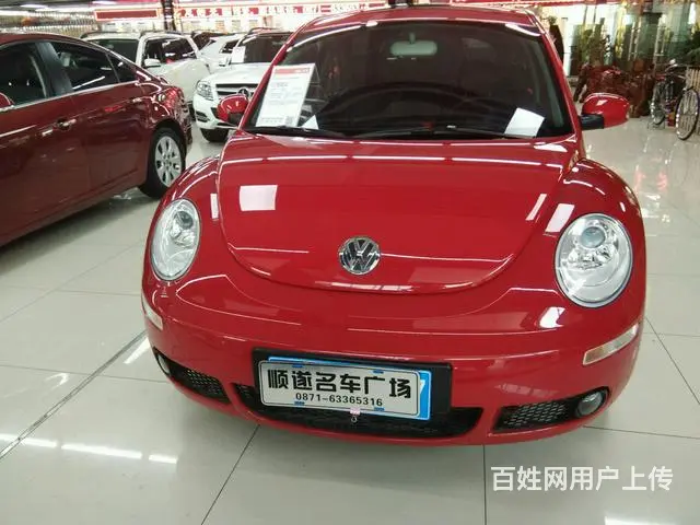 大众甲壳虫掀背 [进口] 2010款 2.0L 自 - 图片 4