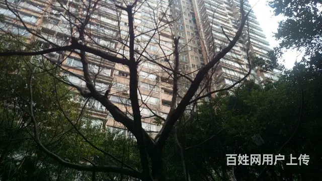 金花苑电梯一房一厅 精装修拎包入住陈家祠地铁 小区 - 图片 10