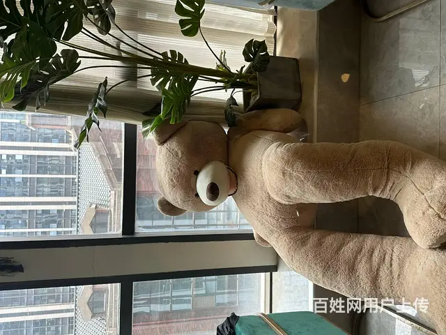 5619（金铺网）中天健商业街蛋糕店带设备整体转让 - 图片 3