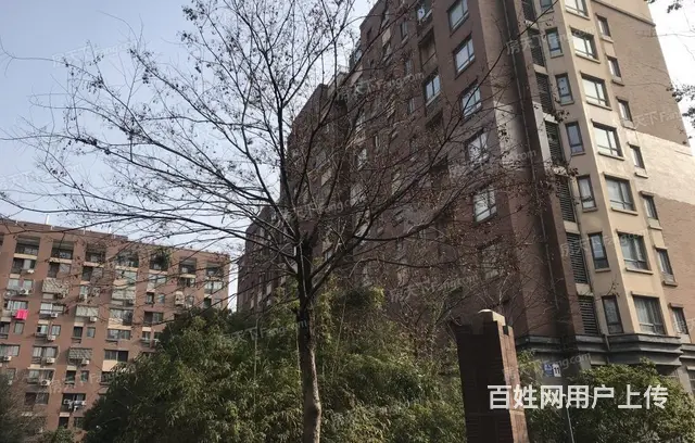 绿地世纪城一期3室小高层中间楼层全屋实木定制 超赞 - 图片 6