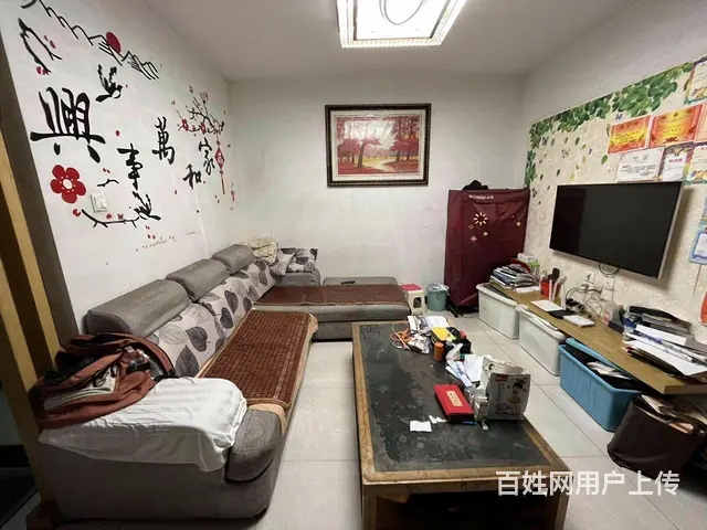 先锋东外滩 业主急售 精装小两房 满五   户型周正采光好 - 图片 1