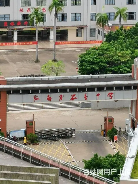 农垦中学对面，新房首入住3房3000元 - 图片 3