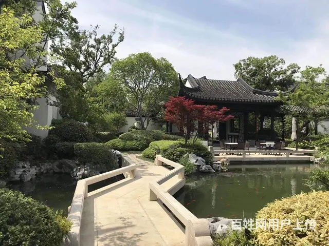 苏州买卖锦鲤鱼金鱼批发 - 图片 4