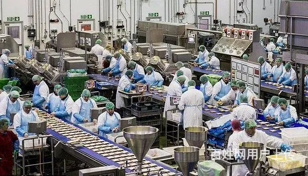 曲靖出国打工高峰期- 劳务派遣新西兰- 操作工男 - 图片 3