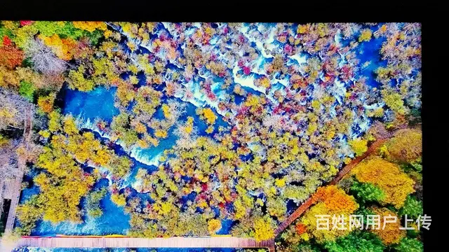 TCL电视机Q10H75寸 - 图片 1
