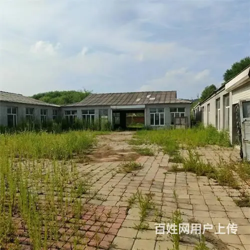 船营区西安路欢喜乡四队厂房出租出售 - 图片 9
