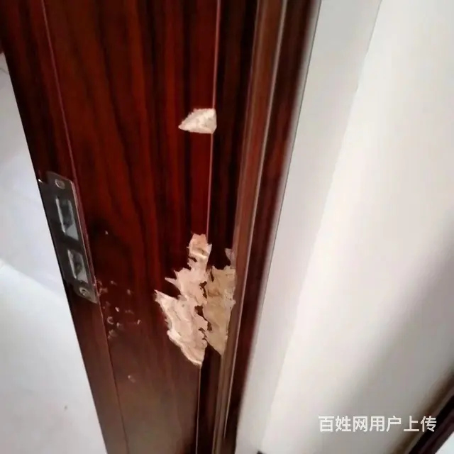 专业门框开裂修复 木门维修 木门补漆 木门修复维修 - 图片 3