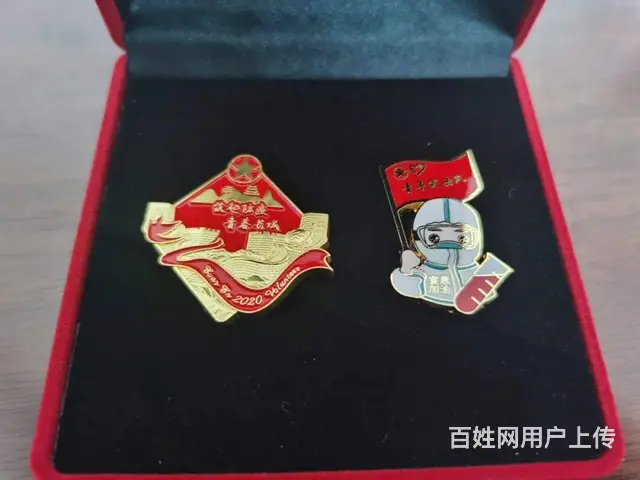 养老院徽章 烤漆金属胸针 做工精细. - 图片 2