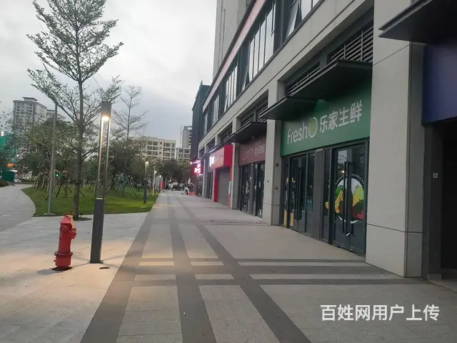 （51旺铺推荐）新大洲大道（雍江湾）73平出租 - 图片 5