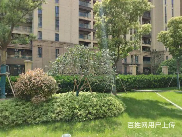 百闻不如一见！57.90平 稀缺57.90平献给懂得享受的你 - 图片 10