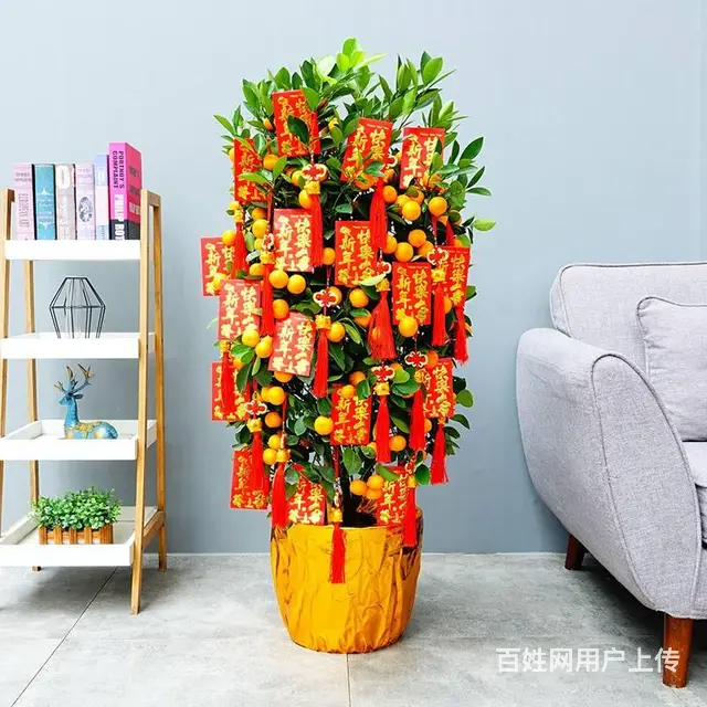 武汉工厂园艺租摆单位花木租赁，武汉户外花卉租摆汉室 - 图片
