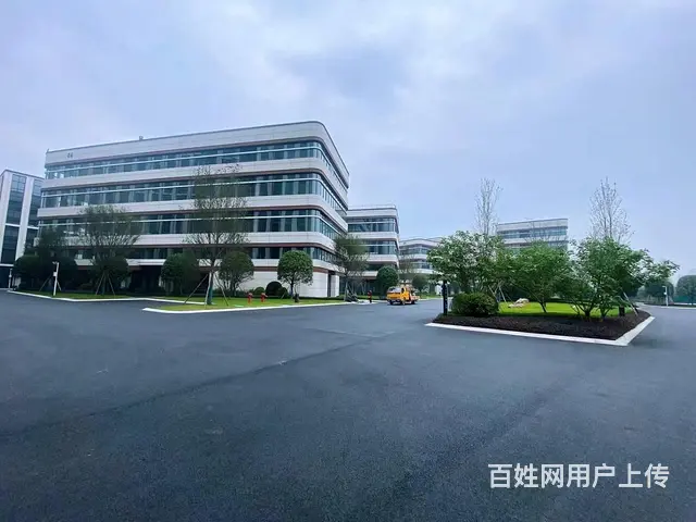 高新西区厂房出租、生产、研发、办公、分层独栋 - 图片 6