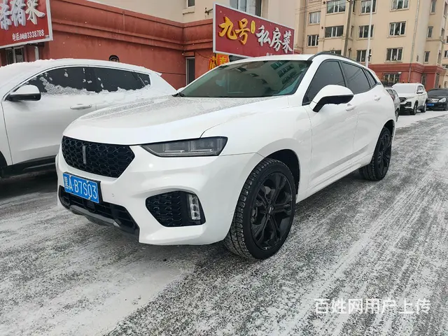 WEY VV7 2017款 VV7c 2.0T 双离合 旗舰 - 图片 3