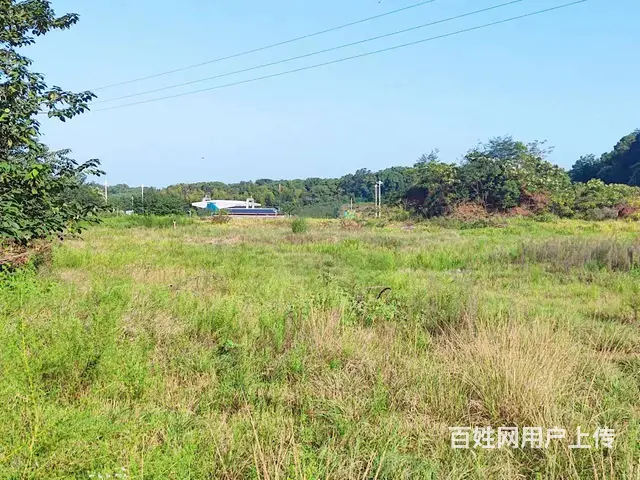 （老板本人）高速口300米厂房仓库整栋优价招租 5392 - 图片 7