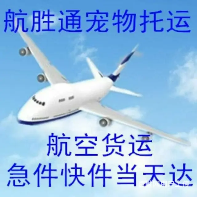 惠州机场航空货运急件空运 - 图片 2