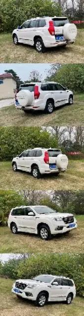 【搞定了！】哈弗 哈弗H9 2015款 2.0T 手自一体 - 图片 5