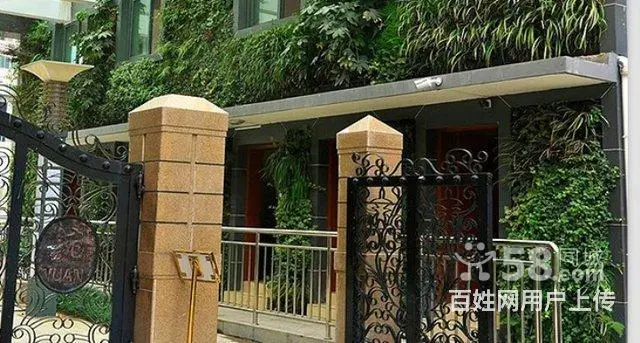 仿真植物墙室内外绿植墙沈阳绿雕雕塑园林景观仿真草坪 - 图片 8