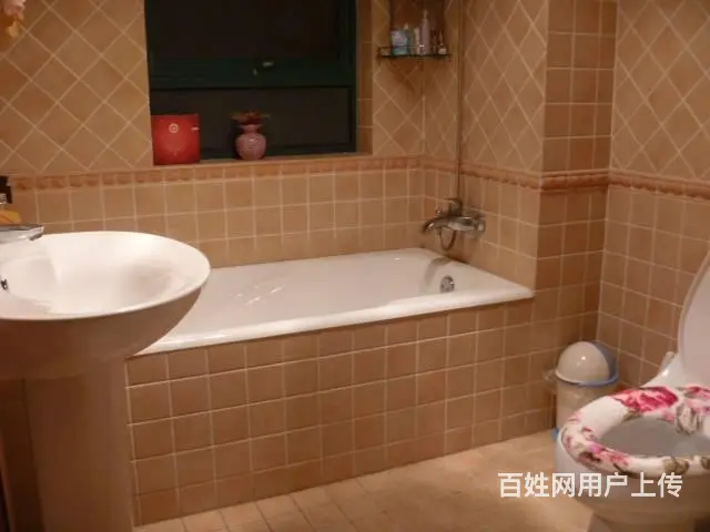 陆渡2所大学城边上 莲花广场的商铺 - 图片 1