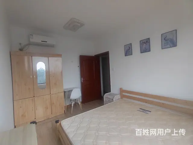 龙泉政务中心附近主卧带卫生间的单间 - 图片 4