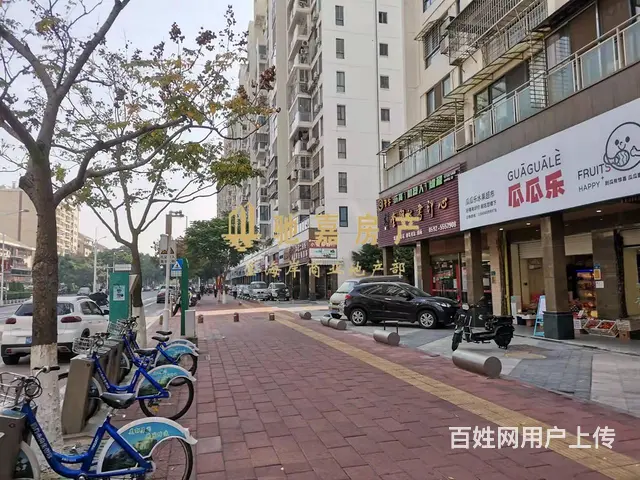 枋湖社区高端楼盘旺铺招租 适合美容教育茶叶烟酒 - 图片 4