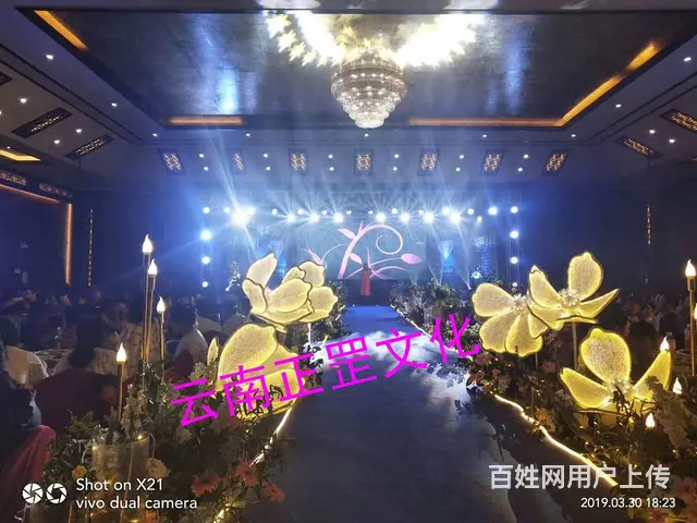 中西式婚礼策划、农村婚礼布置、灯光音响、演出表演 - 图片 8