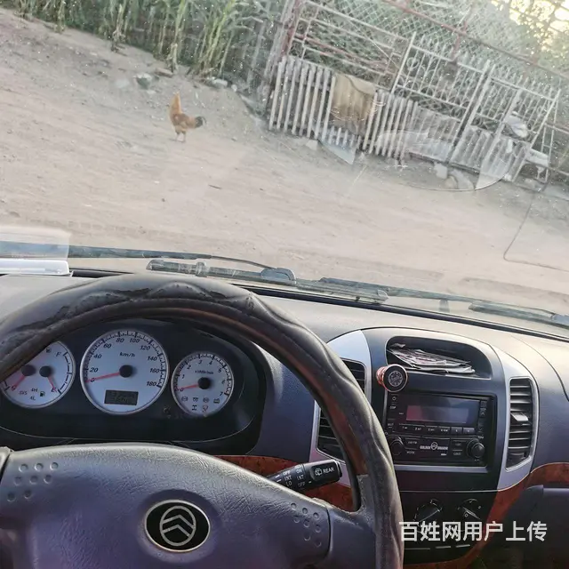 金龙海狮14坐 - 图片 6