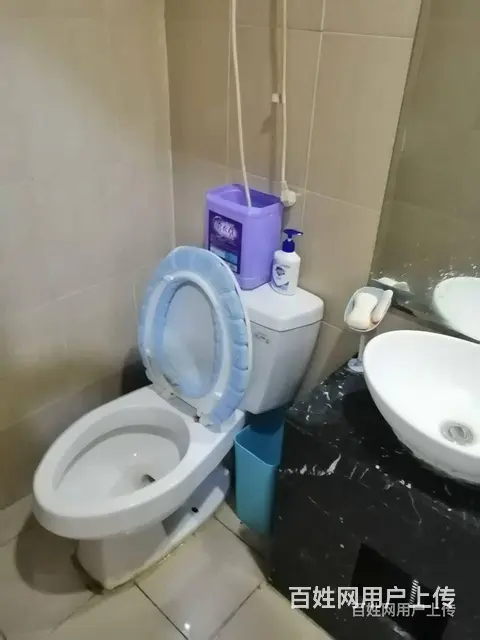 出租北站东，消防局，高法方圆大厦附近精装房 - 图片 6