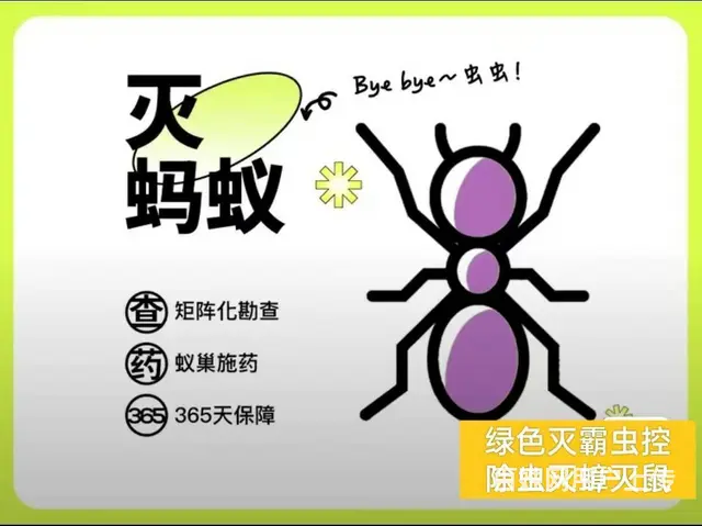 除百虫除四害灭蟑螂、灭蚂蚁、灭老鼠、灭蚂蚁 - 图片 5