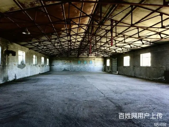 松北区厂房出租 - 图片 6