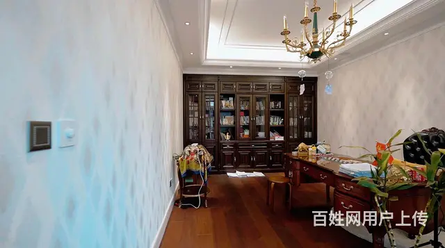 群力盛和天下别墅双拼700米 豪华装修 300米院子双车库 - 图片 9