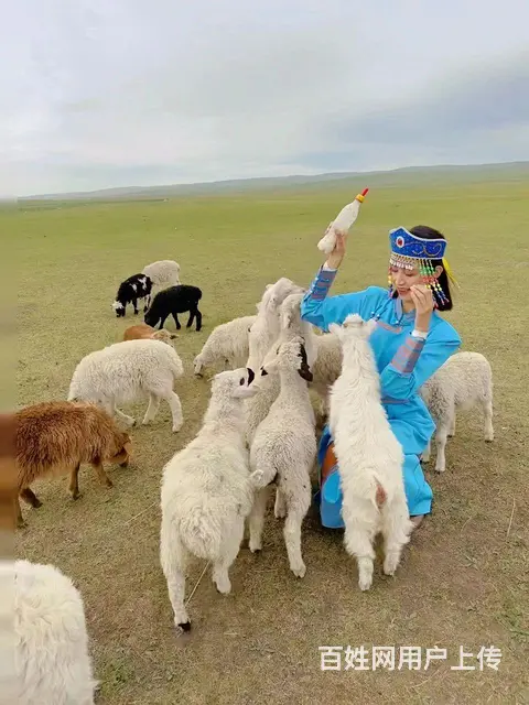 呼伦贝尔旅游线路详细找阿杰 - 图片 3