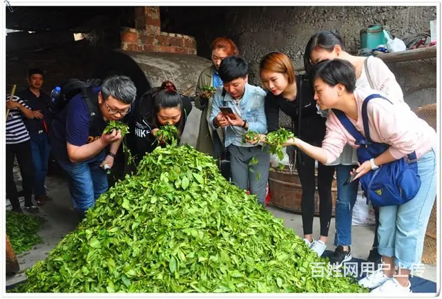 思明茶艺培训哪里好? - 图片 7