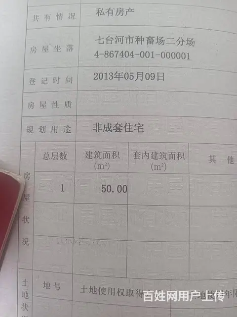 七台河马场二队平房带超大园子 平房 毛坯房 - 图片 3