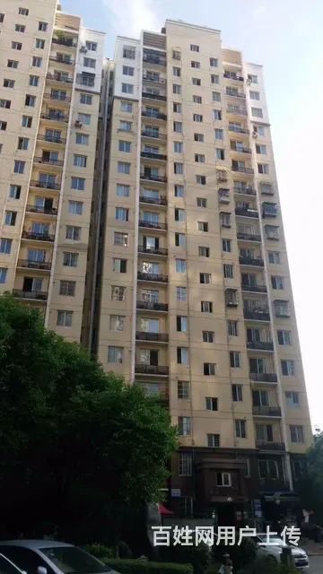 华腾园 岳家嘴地铁口附近 蓝晶绿洲附近 - 图片 9