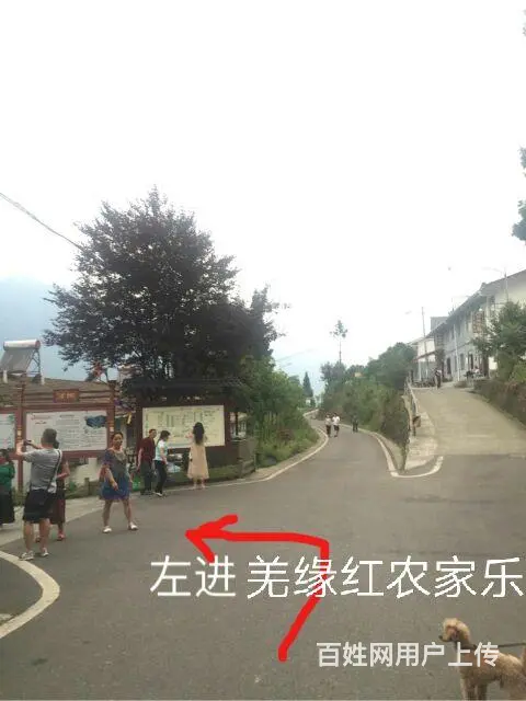 羌缘红农家乐指路标志 - 图片 2
