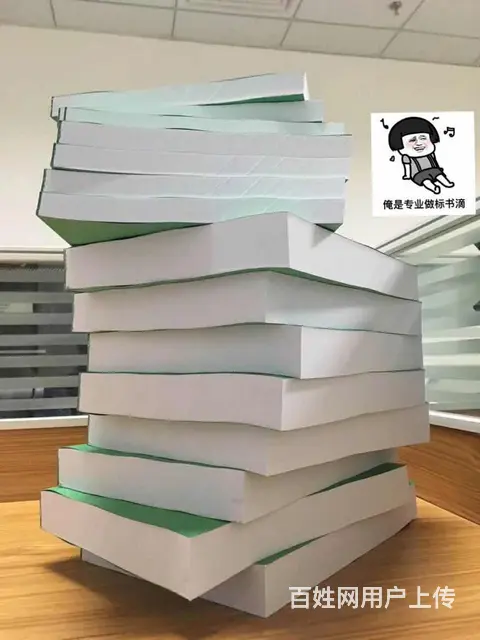 泰安标书制作【为客户做好每一份标书】 - 图片 10