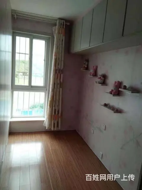 sz出租:金海嘉园，东向公寓，二楼，56平，小两居，除了空调 - 图片 2
